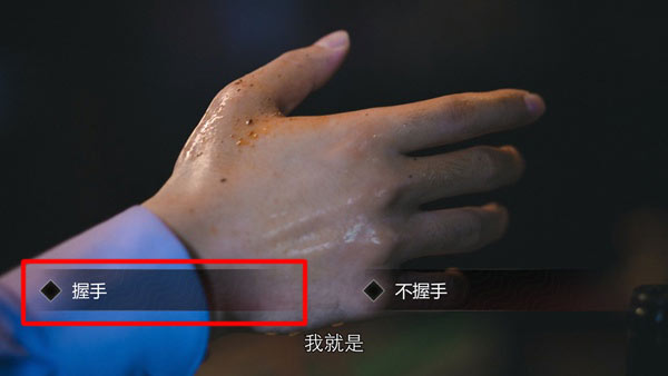 隐形守护者