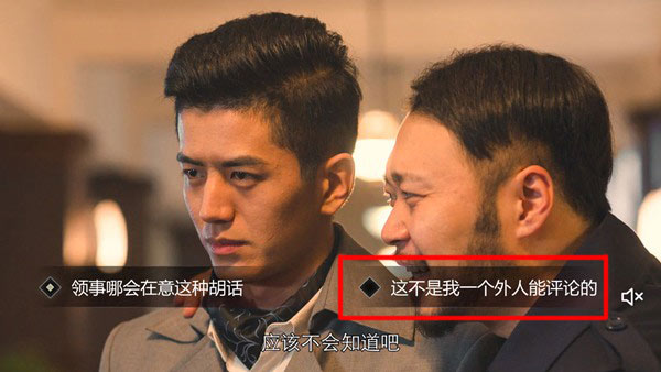 隐形守护者