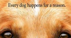 忠犬八公导演新作一条狗的使命爆预告海报 另类诠释“狗生”