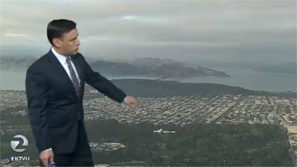 直播现场闯入小鸟 歪着脑袋听天气预报成功抢镜