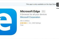 Edge 浏览器 iOS 版更新：iPad 分屏模式终到来