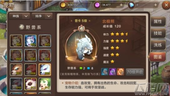 魔力宝贝手机版宠物图鉴大全 全宠物图鉴属性汇总 (14)