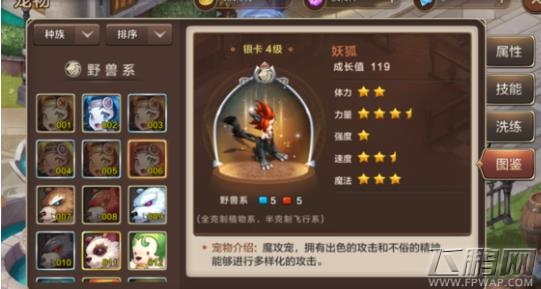 魔力宝贝手机版宠物图鉴大全 全宠物图鉴属性汇总 (5)