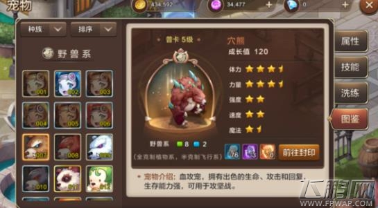 魔力宝贝手机版宠物图鉴大全 全宠物图鉴属性汇总 (9)