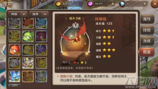 魔力宝贝手机版宠物图鉴大全 全宠物图鉴属性汇总 (10)