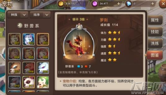 魔力宝贝手机版宠物图鉴大全 全宠物图鉴属性汇总 (13)