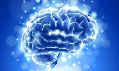 陈天桥为何捐10亿美元研究人脑？