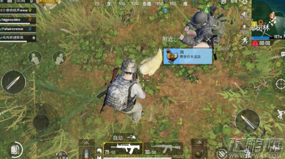绝地求生刺激战场在哪里能抓到鸡 里的鸡是干什么用的  (2)
