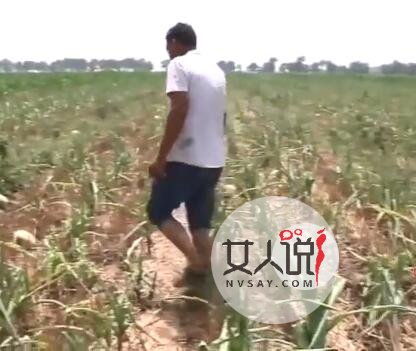 瓜农倒赔偷瓜贼 瓜农女士嚎啕大哭的原因是什么