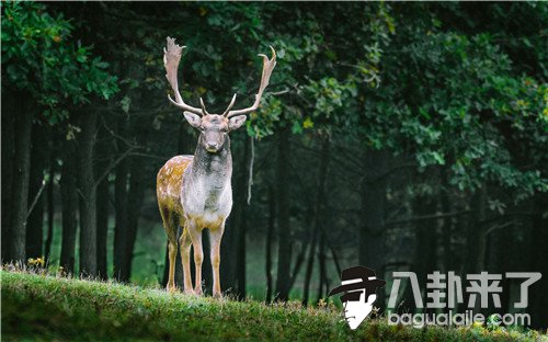 收入差距太大 我实在见不惯女友趾高气昂的样子